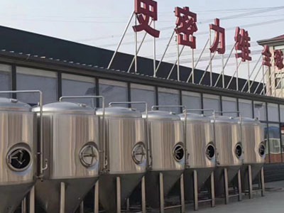 兴隆精酿啤酒设备厂—市场规模与跨界新需求
